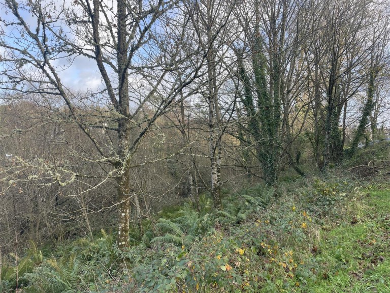 Images for Raleigh Hill, Bideford