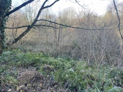 Images for Raleigh Hill, Bideford