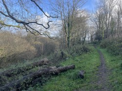 Images for Raleigh Hill, Bideford