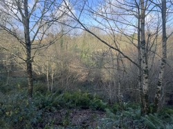 Images for Raleigh Hill, Bideford