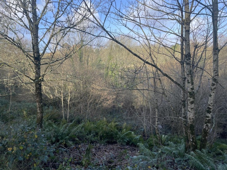 Images for Raleigh Hill, Bideford