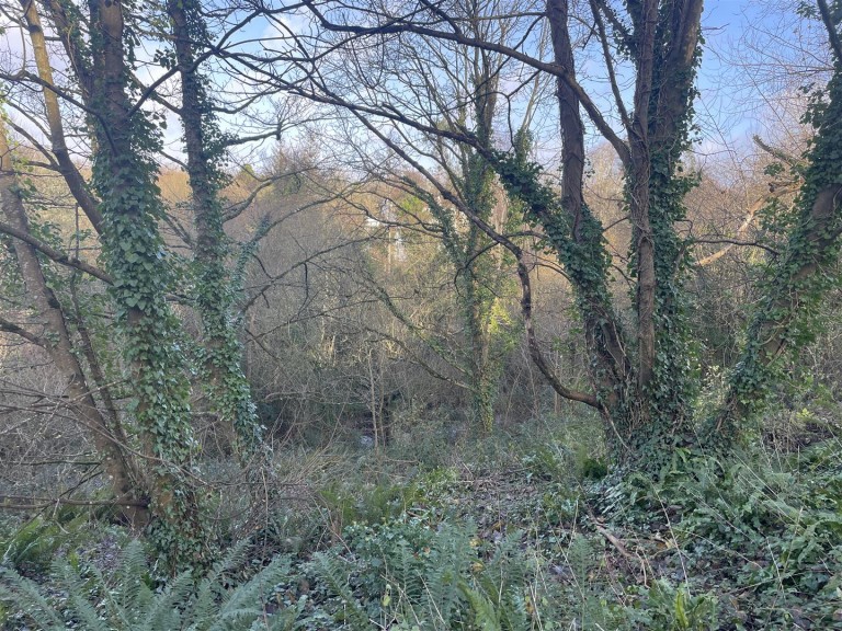 Images for Raleigh Hill, Bideford