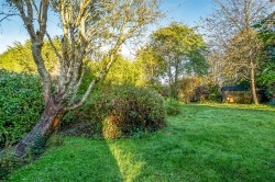 Images for Fivehead, Taunton