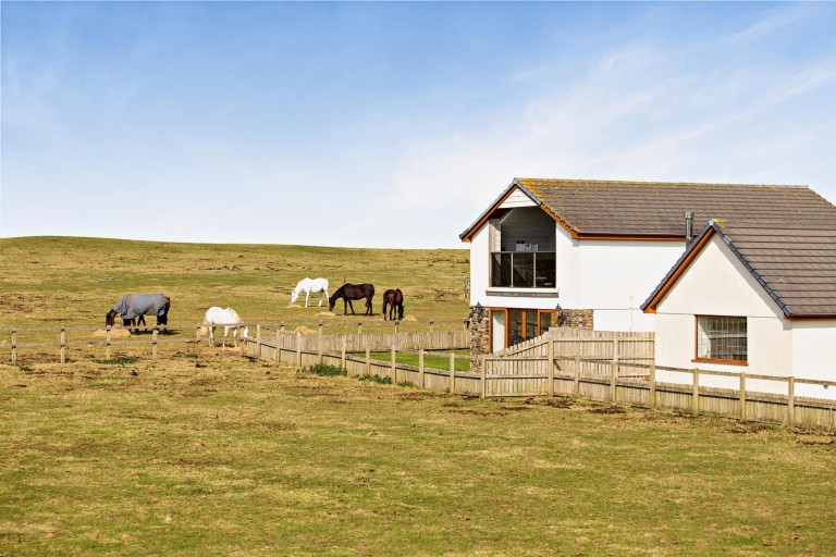Images for Duckhaven Stud, Cornborough Road, Bideford