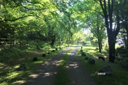 Images for Carthew Farm, Carthew, St. Austell