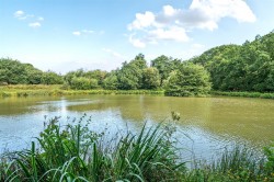 Images for Pyworthy, Holsworthy