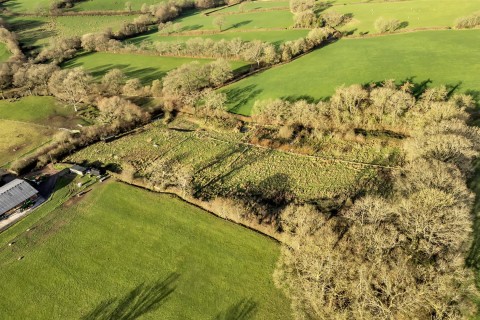 Click the photo for more details of Luppitt, Honiton