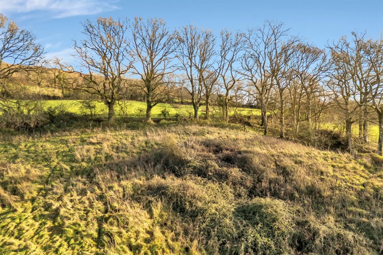 Images for Luppitt, Honiton