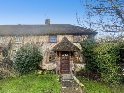 Images for Chaldon Herring