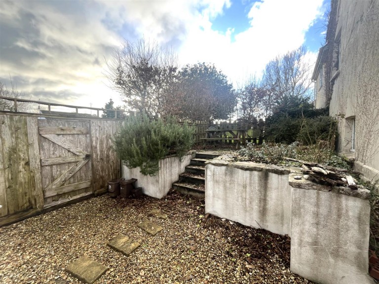 Images for Chaldon Herring