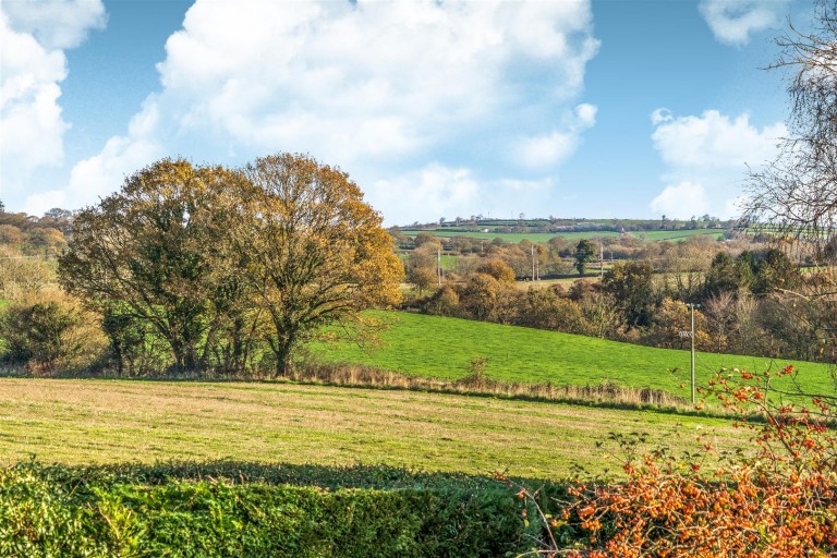 Images for Bow, Crediton