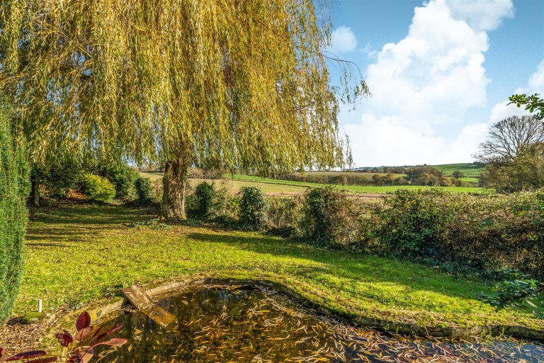 Images for Bow, Crediton