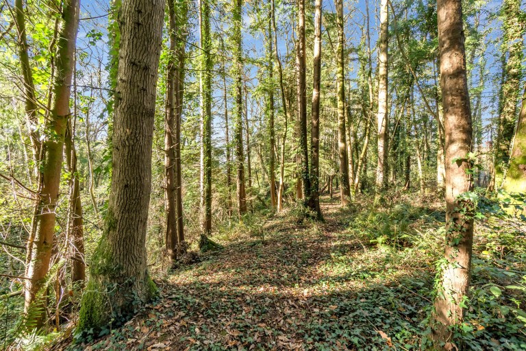 Images for Whimple, Exeter