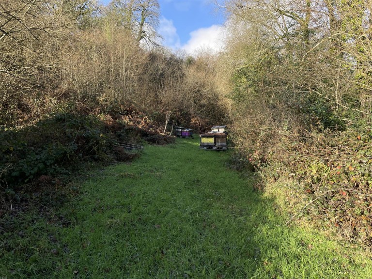 Images for Chulmleigh