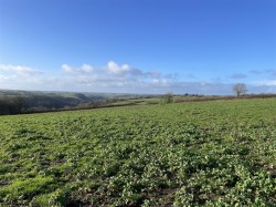 Images for Chulmleigh