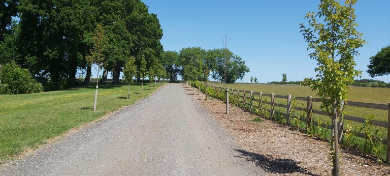 Images for Organford, Wareham