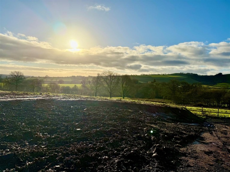 Images for Ashbrittle, Wellington