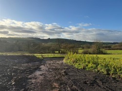 Images for Ashbrittle, Wellington