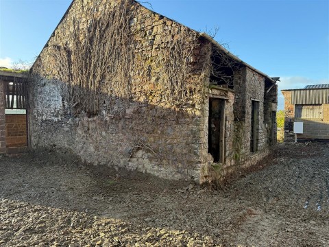 Click the photo for more details of Ashbrittle, Wellington