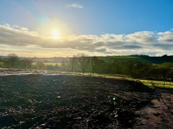 Images for Ashbrittle, Wellington
