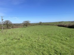 Images for Near Shebbear