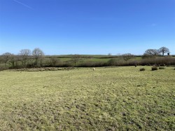 Images for Near Shebbear