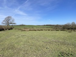 Images for Near Shebbear