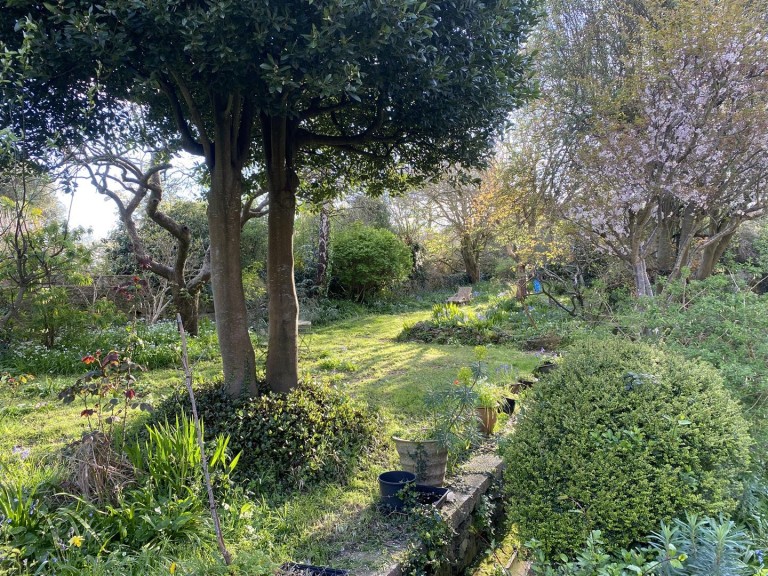 Images for Market Street, Abbotsbury, Weymouth