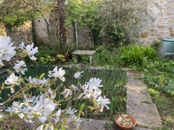 Images for Market Street, Abbotsbury, Weymouth