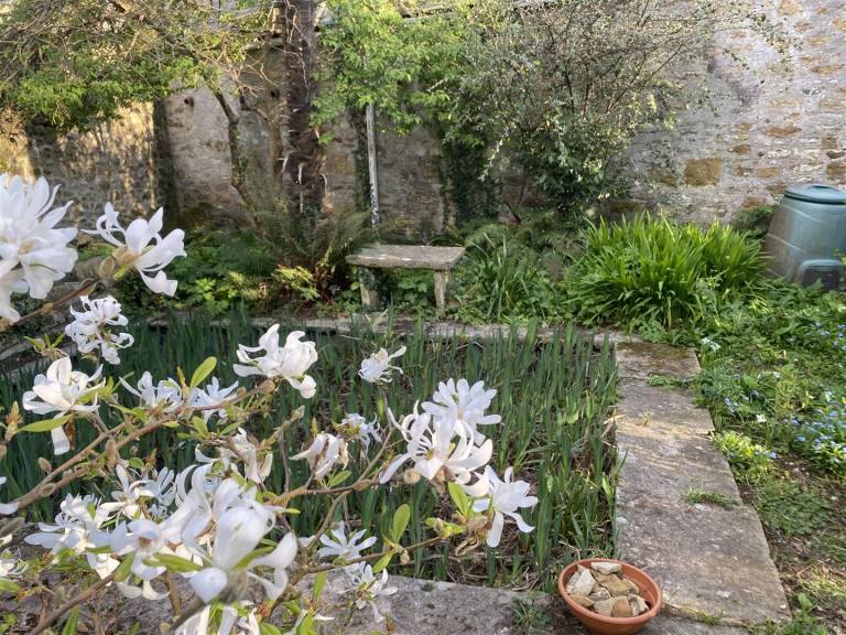 Images for Market Street, Abbotsbury, Weymouth