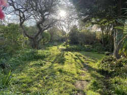Images for Market Street, Abbotsbury, Weymouth