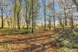 Images for Branscombe, Seaton