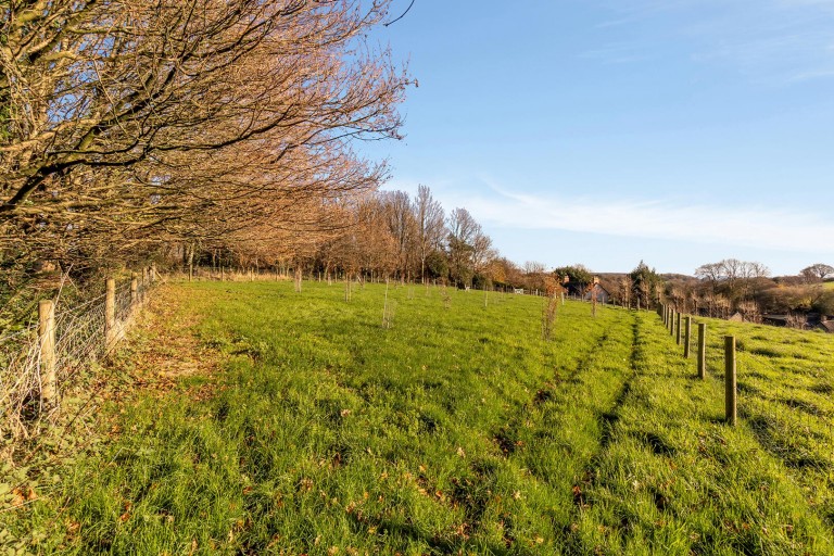 Images for Branscombe, Seaton