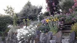 Images for Torrington