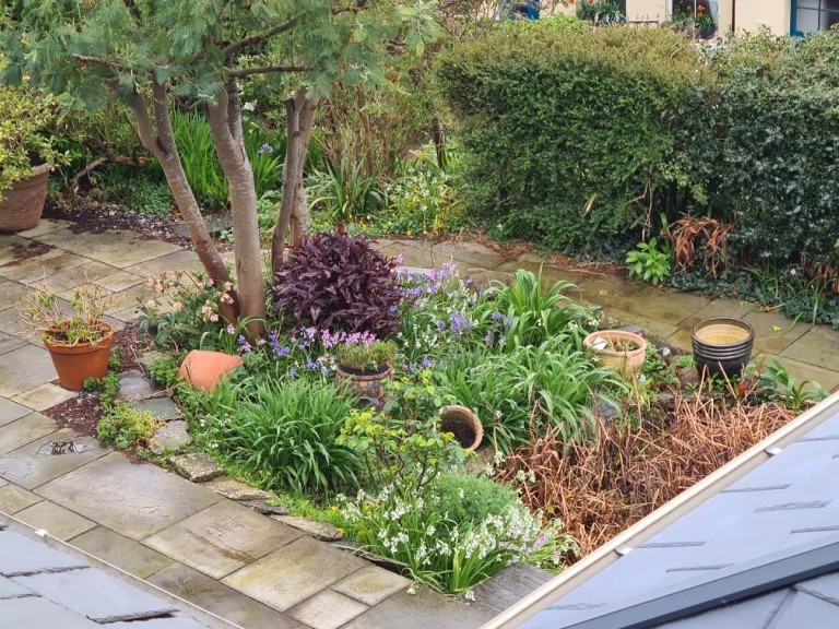 Images for Torrington