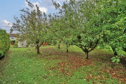 Images for Beercrocombe, Taunton