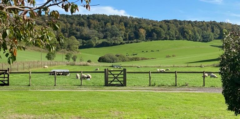 Images for Milton Abbas, Blandford Forum