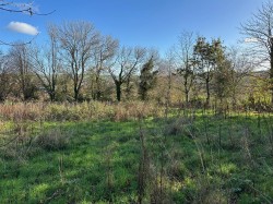 Images for Lake, Tawstock, Barnstaple