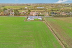 Images for Westley Waterless, Newmarket