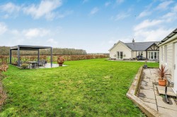 Images for Westley Waterless, Newmarket