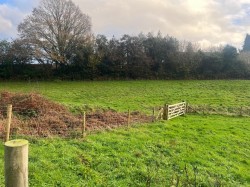 Images for Halls Road, Lytchett Matravers