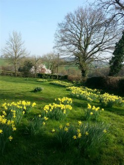 Images for Whiteball, Wellington