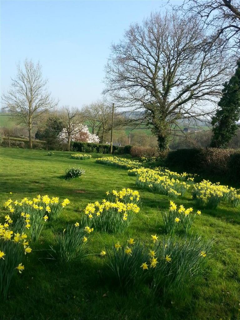 Images for Whiteball, Wellington