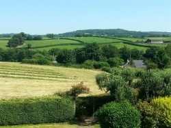 Images for Whiteball, Wellington