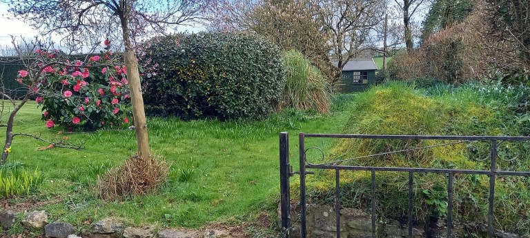 Images for Whiteball, Wellington