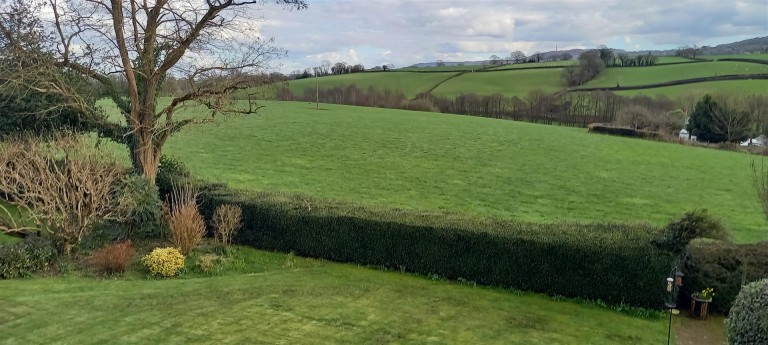 Images for Whiteball, Wellington