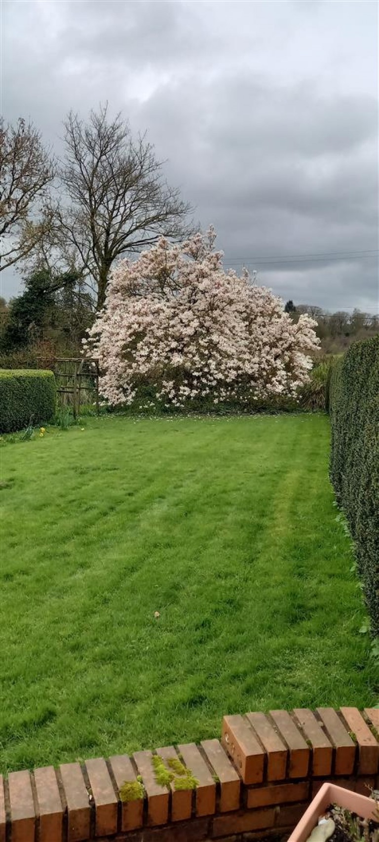 Images for Whiteball, Wellington