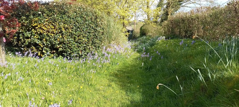 Images for Whiteball, Wellington