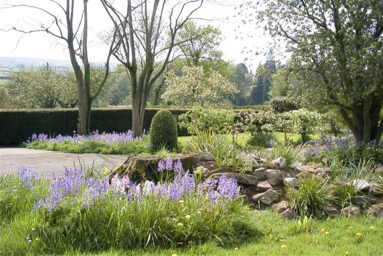 Images for Whiteball, Wellington