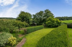 Images for Whiteball, Wellington